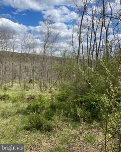 LOT 18 Warden Lake, Wardensville, WV 26851 - photo 5