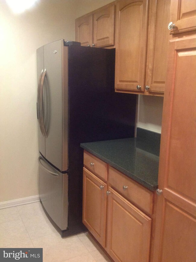 5827 Cove Landing Rd unit 303, Burke, VA 22015 - photo 4