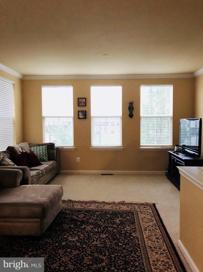 16756 Blackjack Oak Ln unit 48, Woodbridge, VA 22191 - photo 6