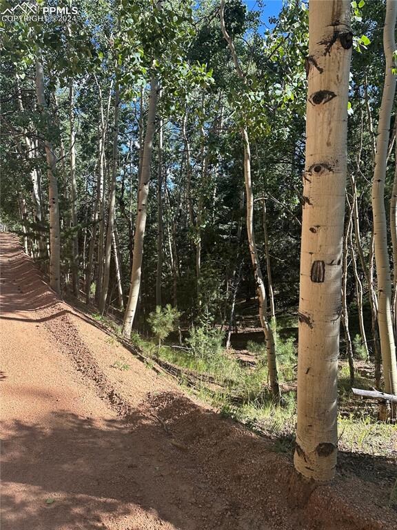 L8 Horseshoe Dr, Divide, CO 80814 - photo 2