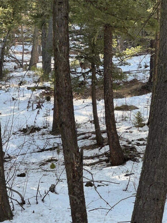 TBD Upper Sawmill Creek Ln, Other - See Remarks, MT 59421 - photo 5