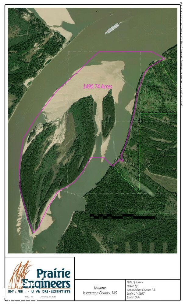 002 Arcadia Rd, Fitler, MS 39159 - photo 3