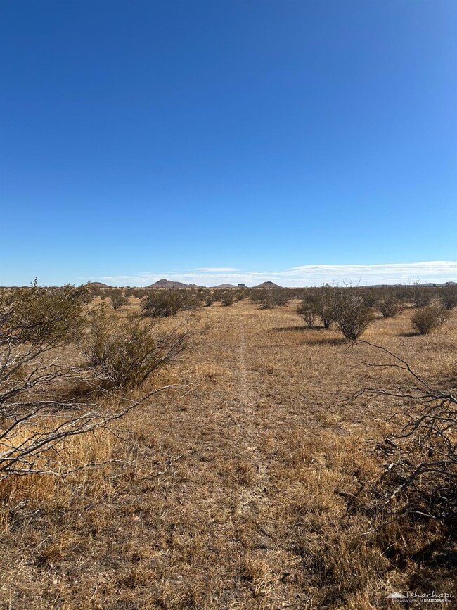 0 Sec 03 Twn 10 Rng 12 unit 9992654, Mojave, CA 93501 - photo 3