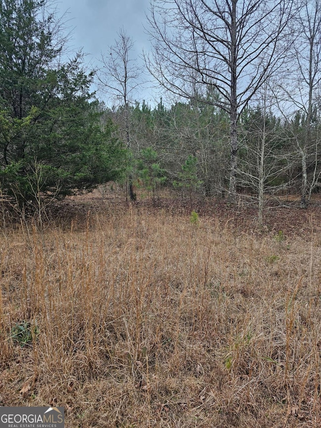 730 Osley Mill Rd, Carlton, GA 30627 - photo 4