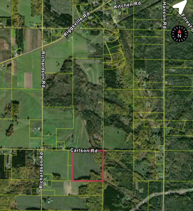 V/L 40AC Carlson Rd, Inverness Township, MI 49721 - photo 2