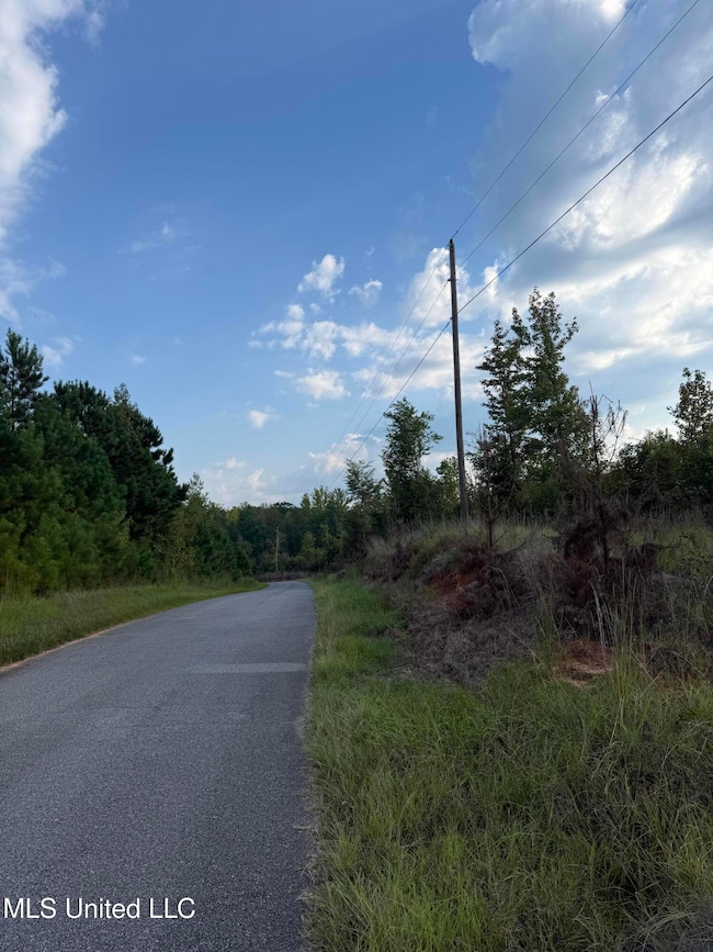 0 Blizzard Rd, Meridian, MS 39305 - photo 4