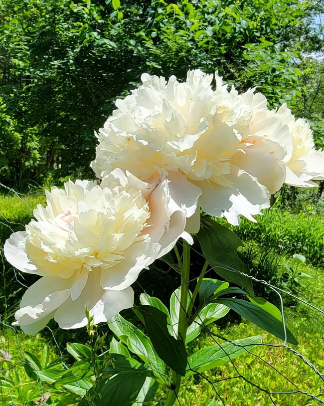 163 Battle St, Webster, NH 03303 - photo 7