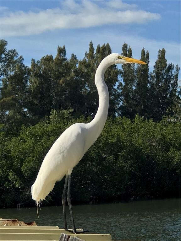 26413 Deep Creek Blvd, Punta Gorda, FL 33983 - photo 6