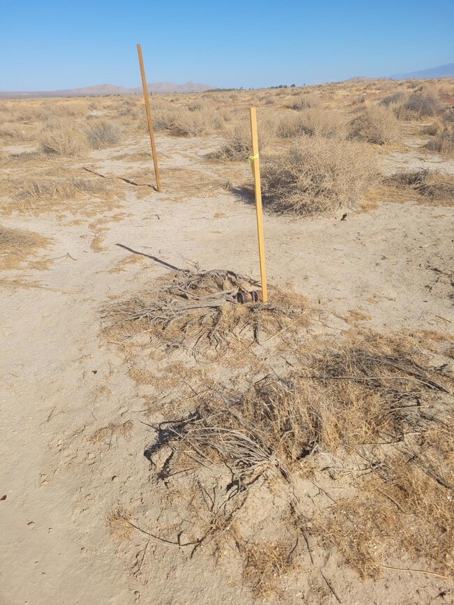 113th Ste E Vic Avenue F12 113 Ste Rd, Lancaster, CA 93535 - photo 4