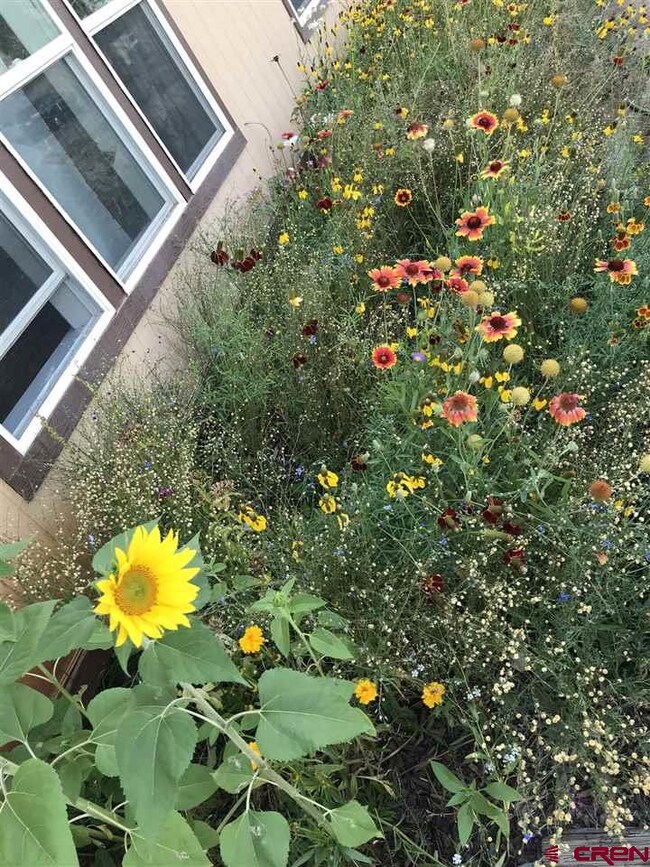 0 Mesa Loop unit 762585, Gunnison, CO 81230 - photo 5