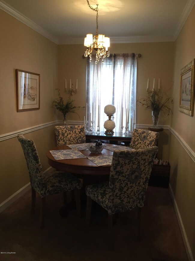 1113 Baxter Ave unit 1A, Louisville, KY 40204 - photo 6