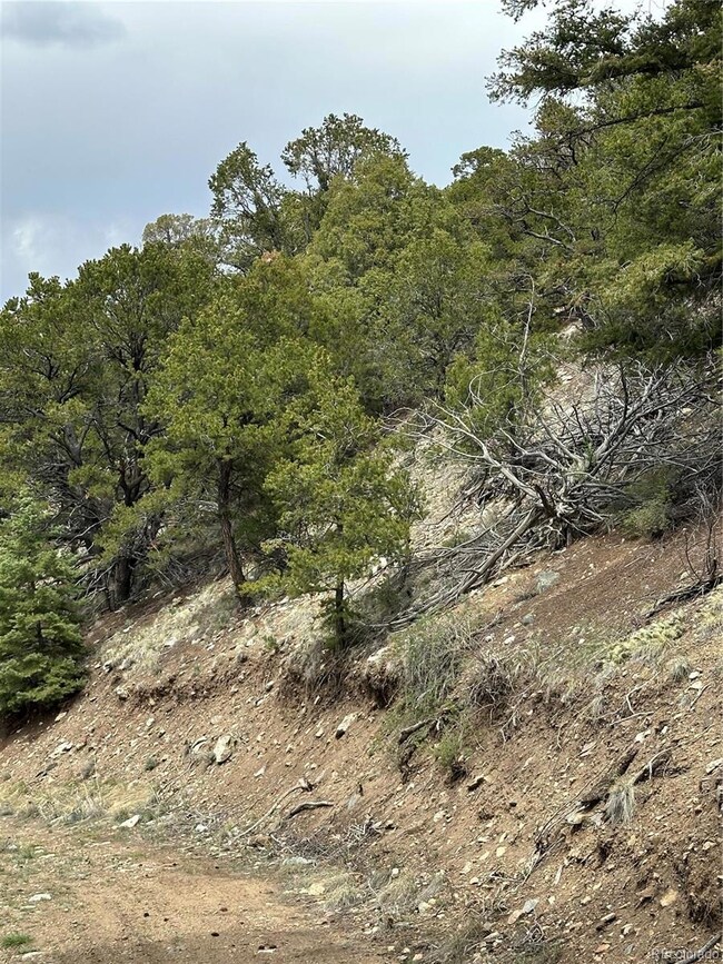 0 Tbd unit REC8471834, Mosca, CO 81146 - photo 5