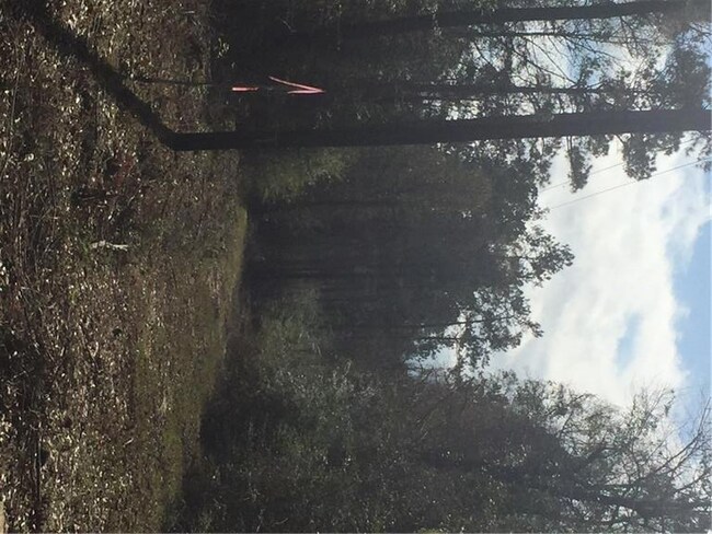 24375 Pope Rd, Franklinton, LA 70438 - photo 2