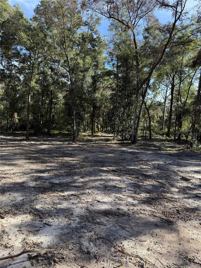0 NW 7th Place, Ocala, FL 34482 - photo 6