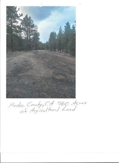 00 Ranch Rd, Alturas, CA 96101 - photo 4