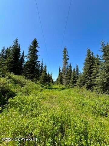 Powerline trail