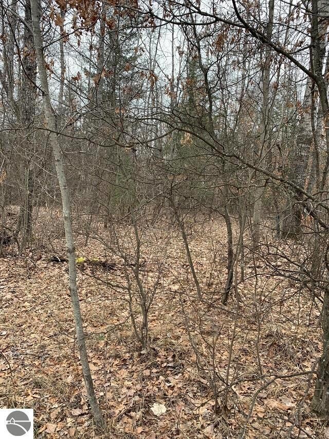 0 Morrison Rd unit 1898517, Alger, MI 48610 - photo 3