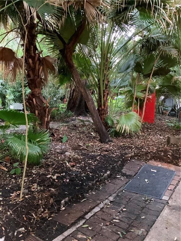 2326 Esplanade Ave, New Orleans, LA 70119 - photo 7