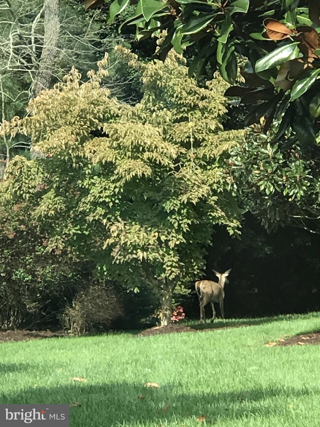 0 Townsend Rd unit DESU2008278, Dagsboro, DE 19939 - photo 2