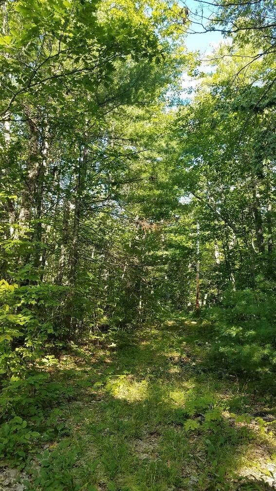 0 Bear Trap Rd unit 1463871, Bridgton, ME 04009 - photo 5