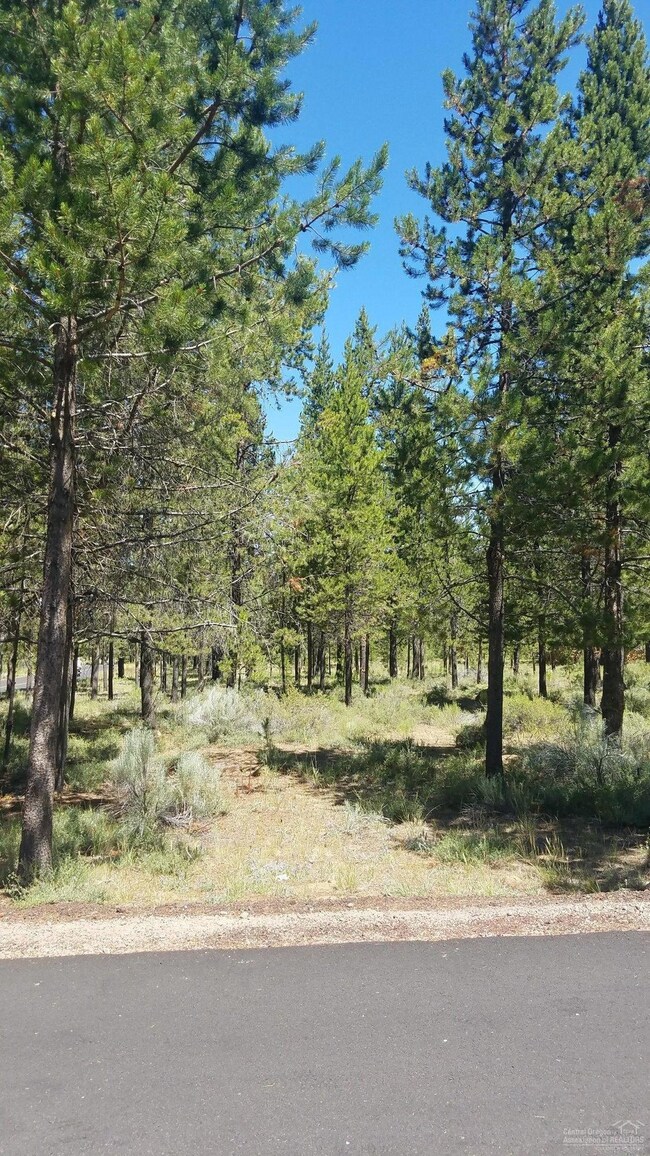 57650 White Elm Ln, Sunriver, OR 97707 - photo 7