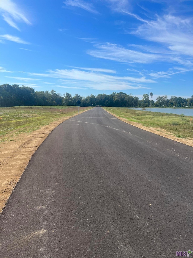 Lot # 23 Buddy Gore Rd, Gonzales, LA 70737 - photo 2