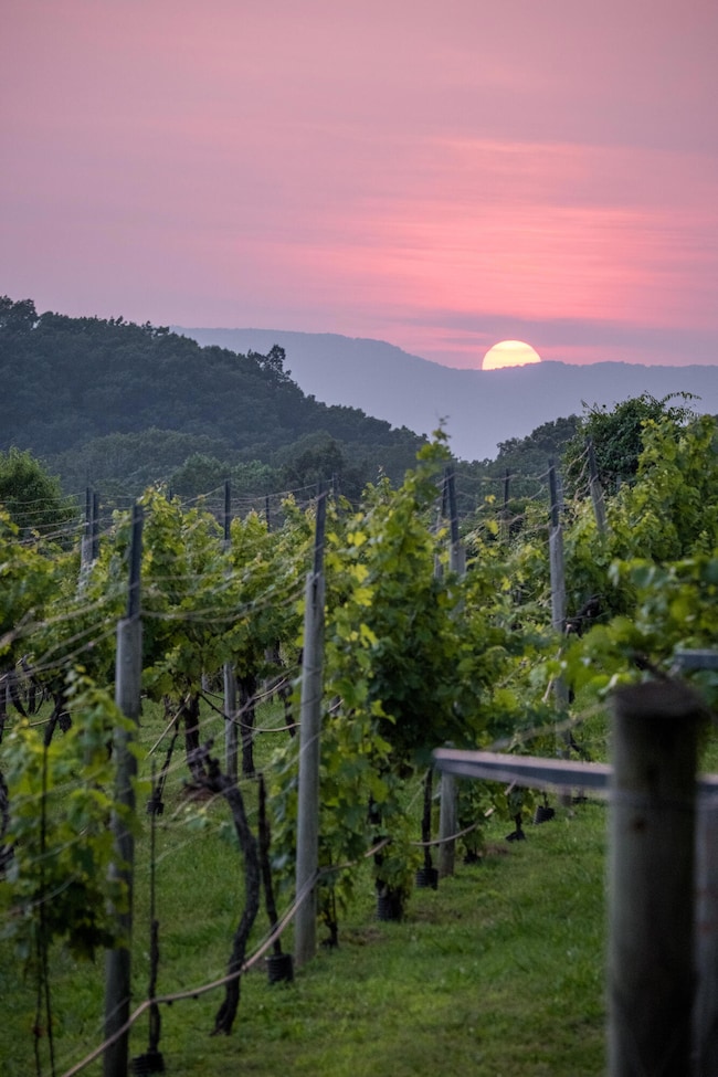 21058 Highway 193, La Fayette, GA 30728 - photo 4