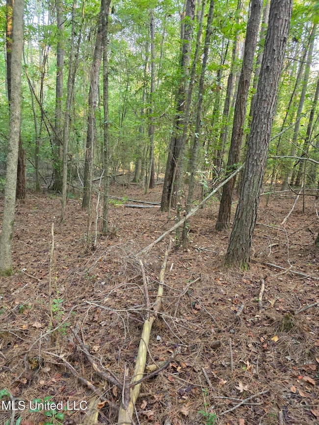 0 County Road 155 unit 4126041, Stringer, MS 39481 - photo 7
