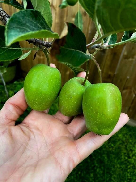 1541 Queens Dr, Slidell, LA 70458 - photo 6