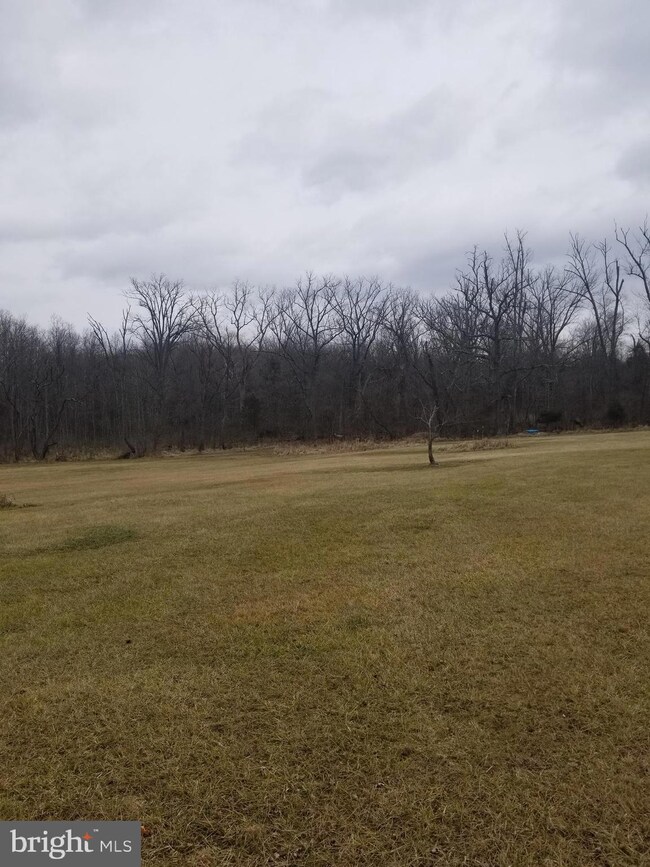 7324 Dogwood Rd, Windsor Mill, MD 21244 - photo 4