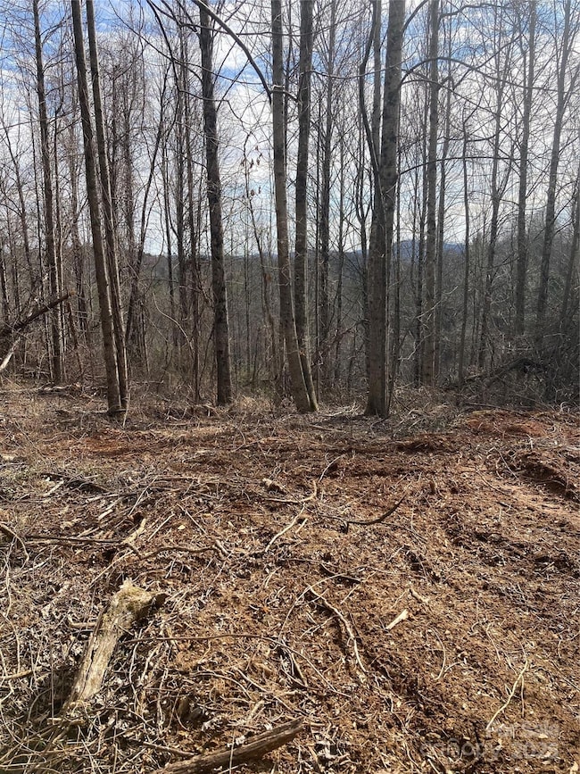 1638 Continental Divide Dr unit 1, Flat Rock, NC 28731 - photo 7