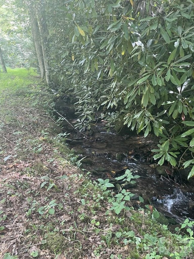 Lot 17/18 Long Creek Rd unit 17/18, Bryson City, NC 28713 - photo 3