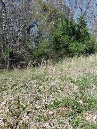 6052 Reepsville Rd, Vale, NC 28168 - photo 4