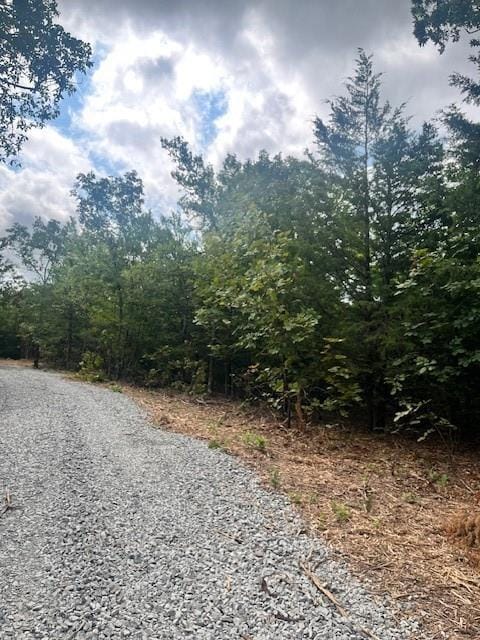 0000 Piney Creek Rd, Eufaula, OK 74432 - photo 3