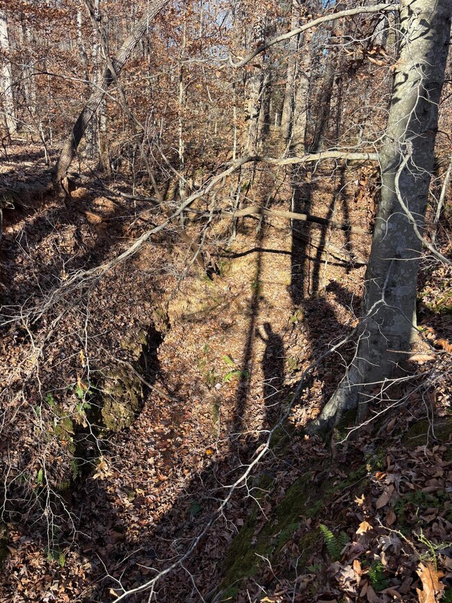 0 Oakville Rd unit 363197, Gladstone, VA 24553 - photo 6