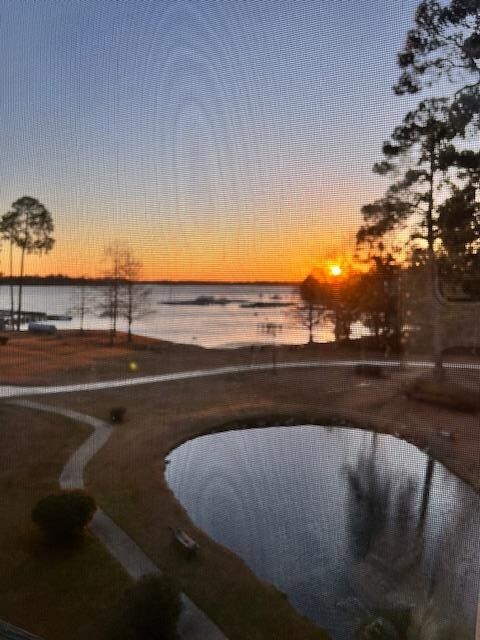 View out the windows