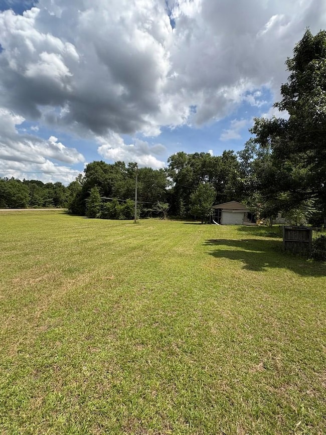 4497 Simmons Dairy Rd, Blakely, GA 39823 - photo 5