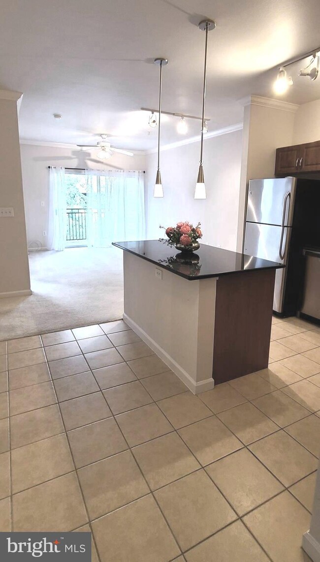 Bryson At Woodland Park unit 301, Herndon, VA 20171 - photo 5