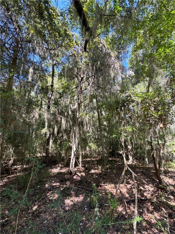 Lot 20 & 21 Riverside Dr, Darien, GA 31305 - photo 7