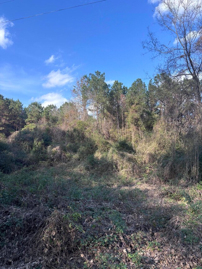 00 Jones Rd, Foxworth, MS 39483 - photo 6