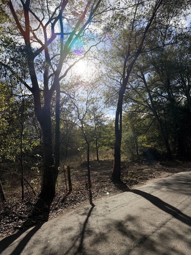 Lot #7 Rs County Road 1150, Emory, TX 75440 - photo 6