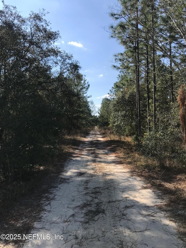 404 Mourning Dove Rd, Satsuma, FL 32189 - photo 3