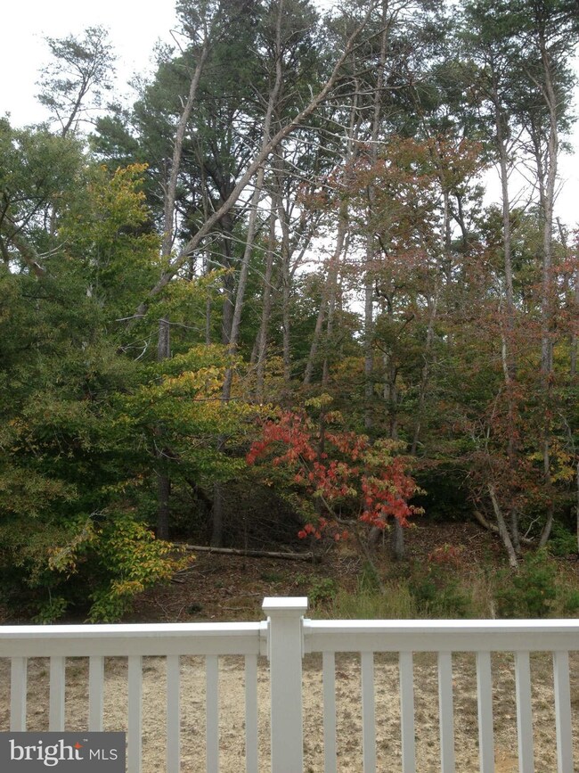 8457 Winding Trail, Laurel, MD 20724 - photo 6