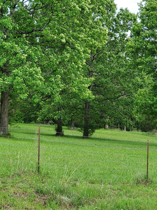 000 Missouri 125, Garrison, MO 65657 - photo 7