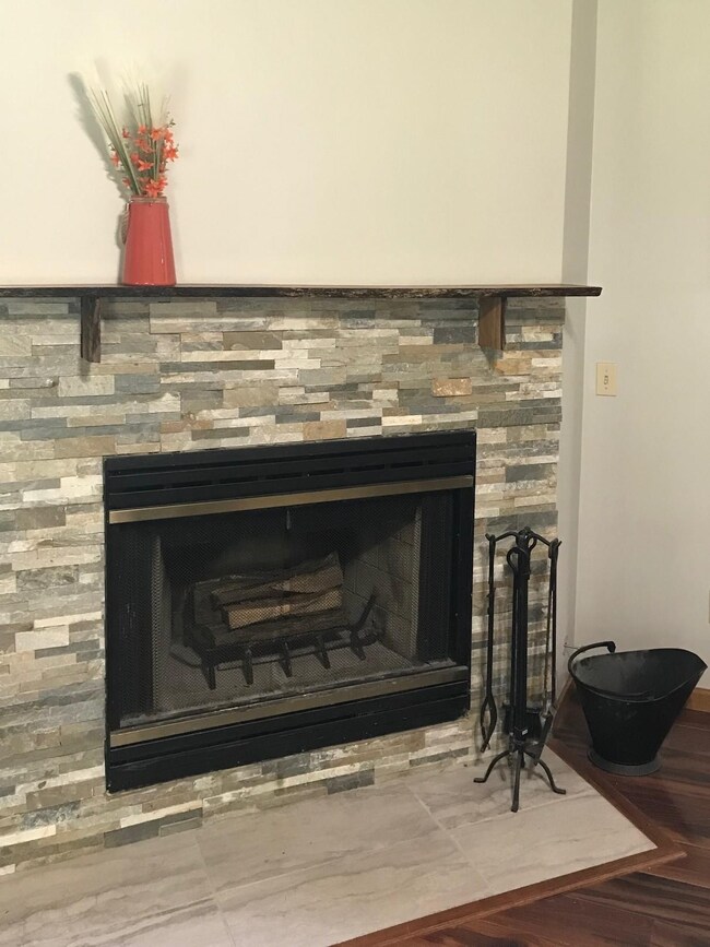IMG_0365 fireplace