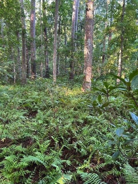 unlisted-address, Sanford, FL 32773 - photo 5