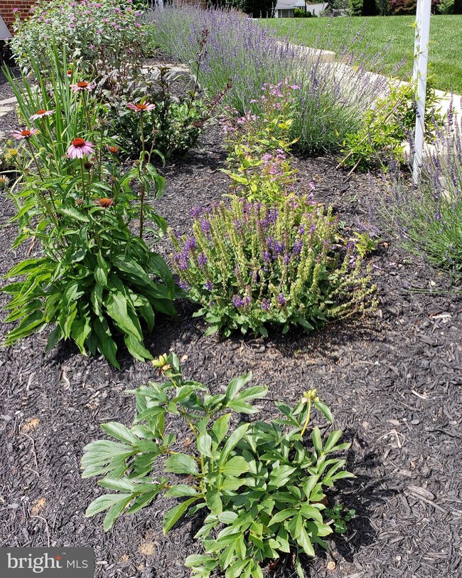 12306 Greenhill Dr, Silver Spring, MD 20904 - photo 3