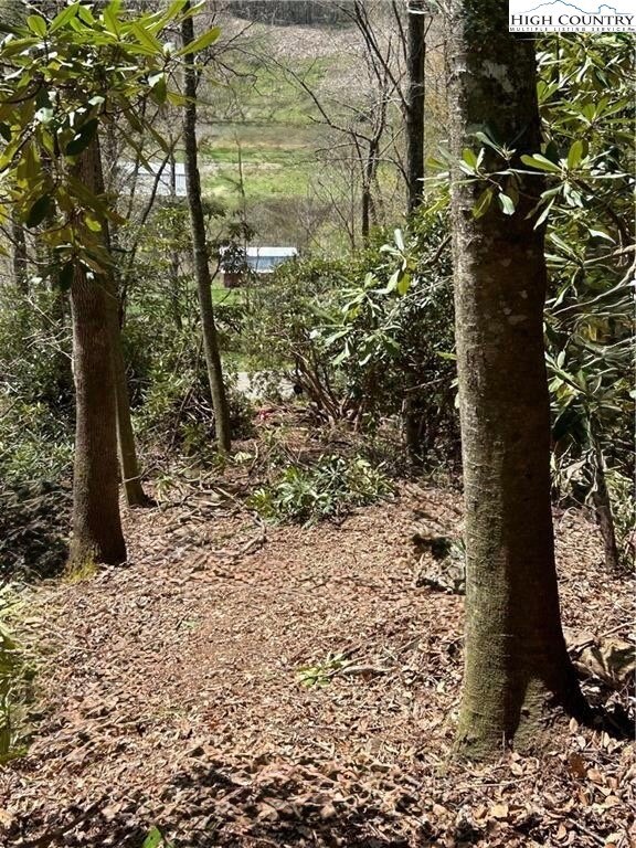 TBD Hwy 88 W, Creston, NC 28615 - photo 5