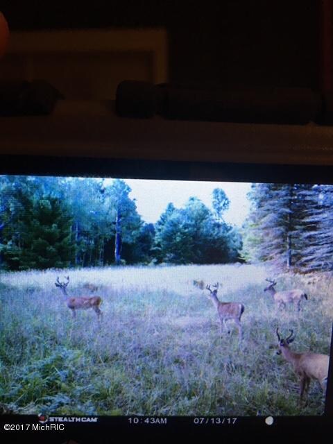 0 E 1st St, Custer, MI 49405 - photo 6