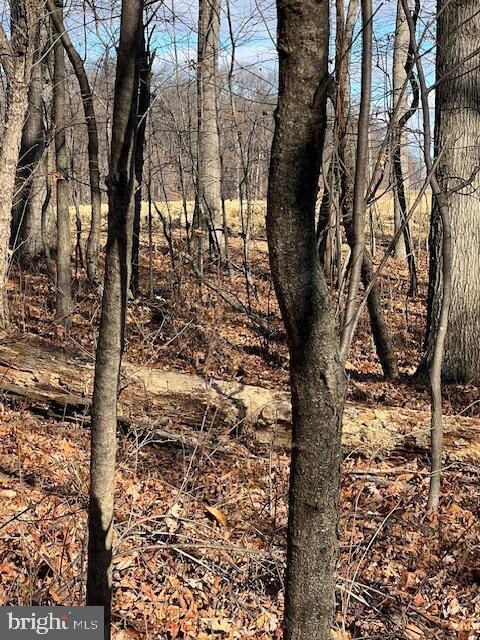 0 Five Forks Rd unit PAYK2095050, Stewartstown, PA 17363 - photo 4
